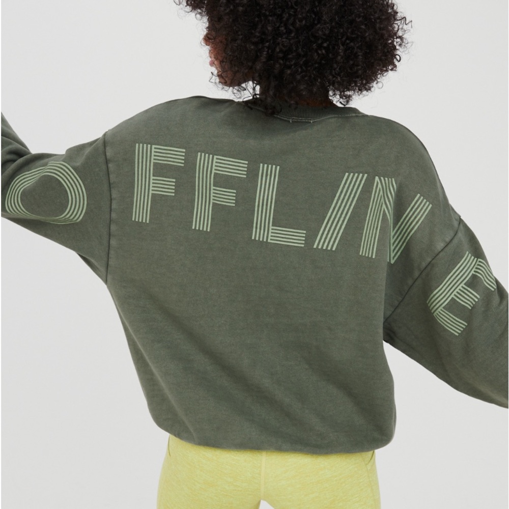 Aerie sweatshirt